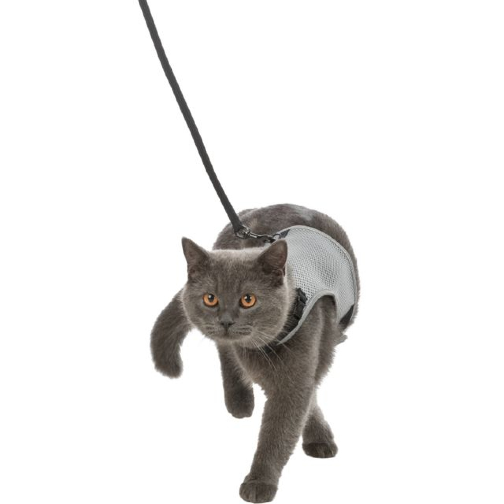 Шлея з повідцем для котів Trixie Xcat нейлонова 24–42 см/10 мм - кольори в асортименті