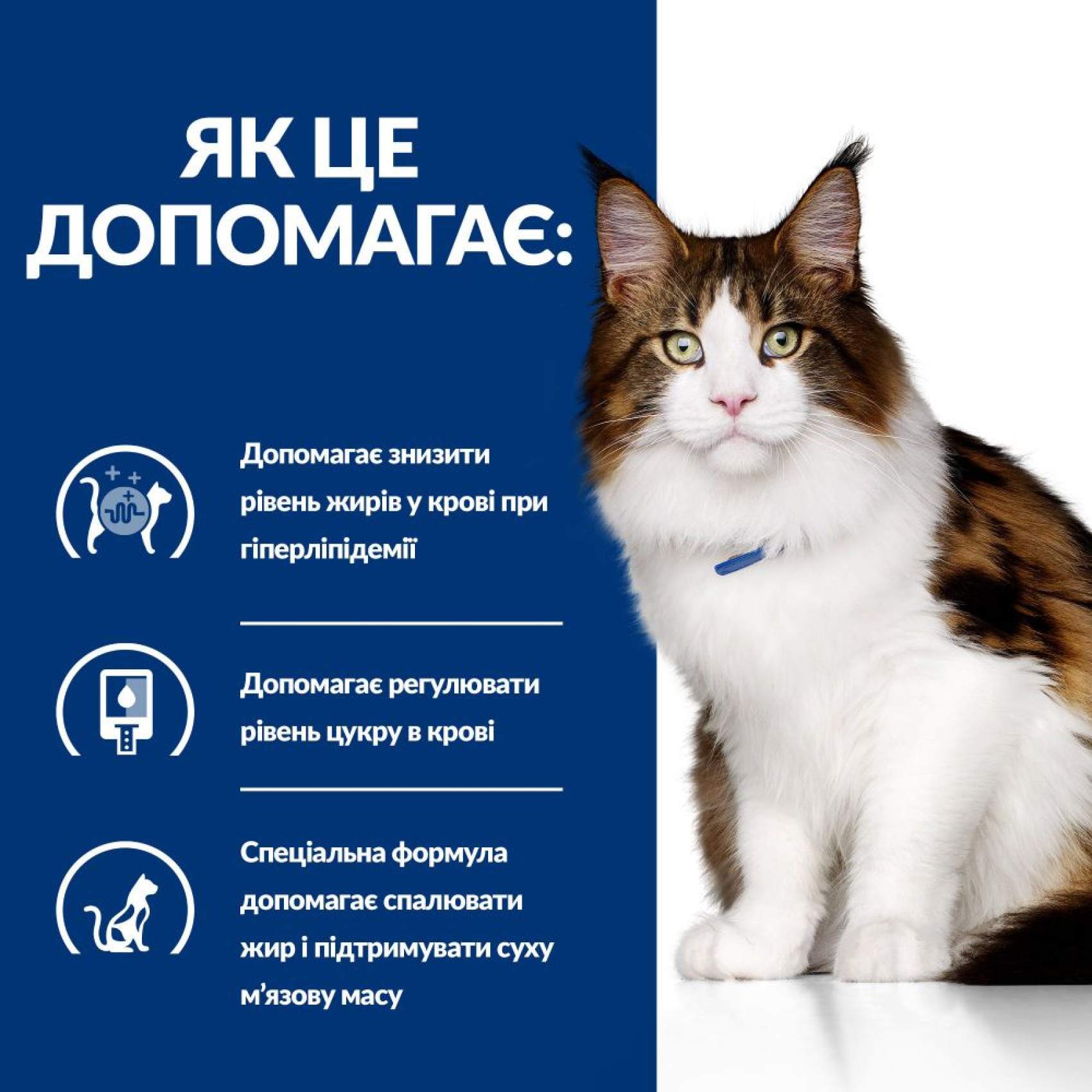 Вологий корм для котів Hill's Prescription Diet Multi-Benefit w/d pouch 85 г - курка