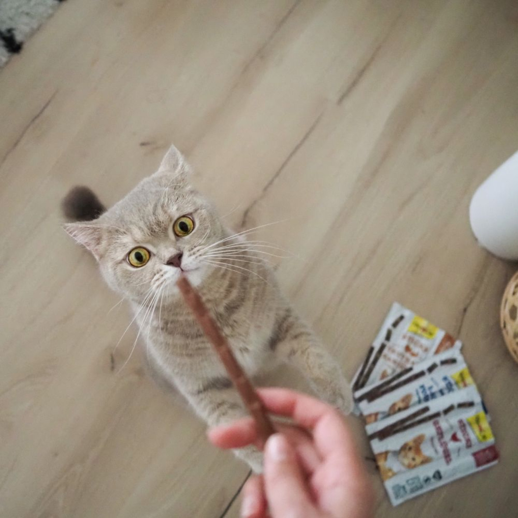 Ласощі для котів GimCat Sticks 4 шт - індичка та кролик