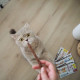 Ласощі для котів GimCat Sticks 4 шт - домашня птиця