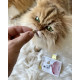 Ласощі для котів GimCat Every Day Malt Tabs 40 г - асорті