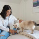 Вітамінні ласощі для котів GimCat Nutri Pockets Тунець + Мультивітамін 60 г
