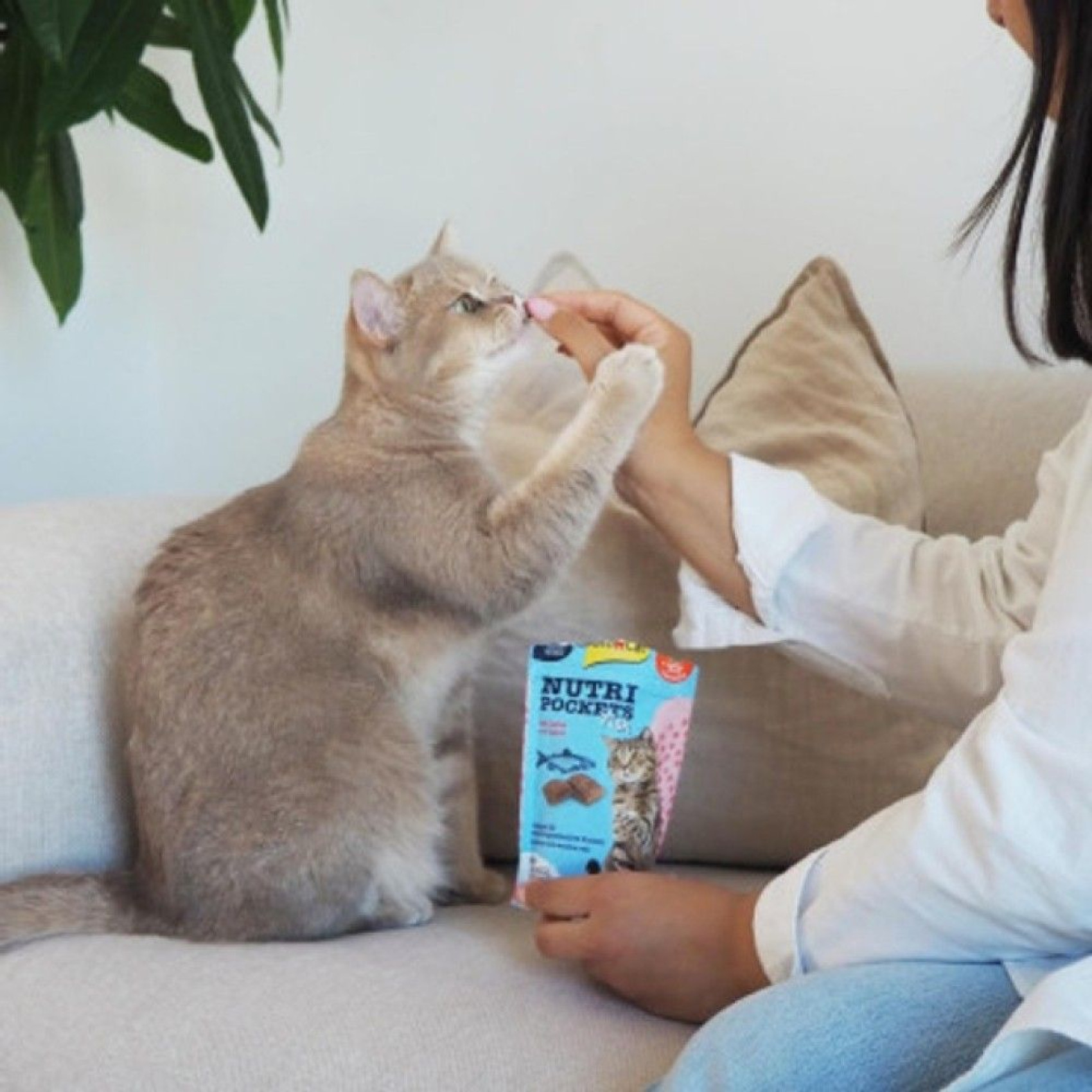 Вітамінні ласощі для котів GimCat Nutri Pockets Лосось + Мультивітамін 60 г