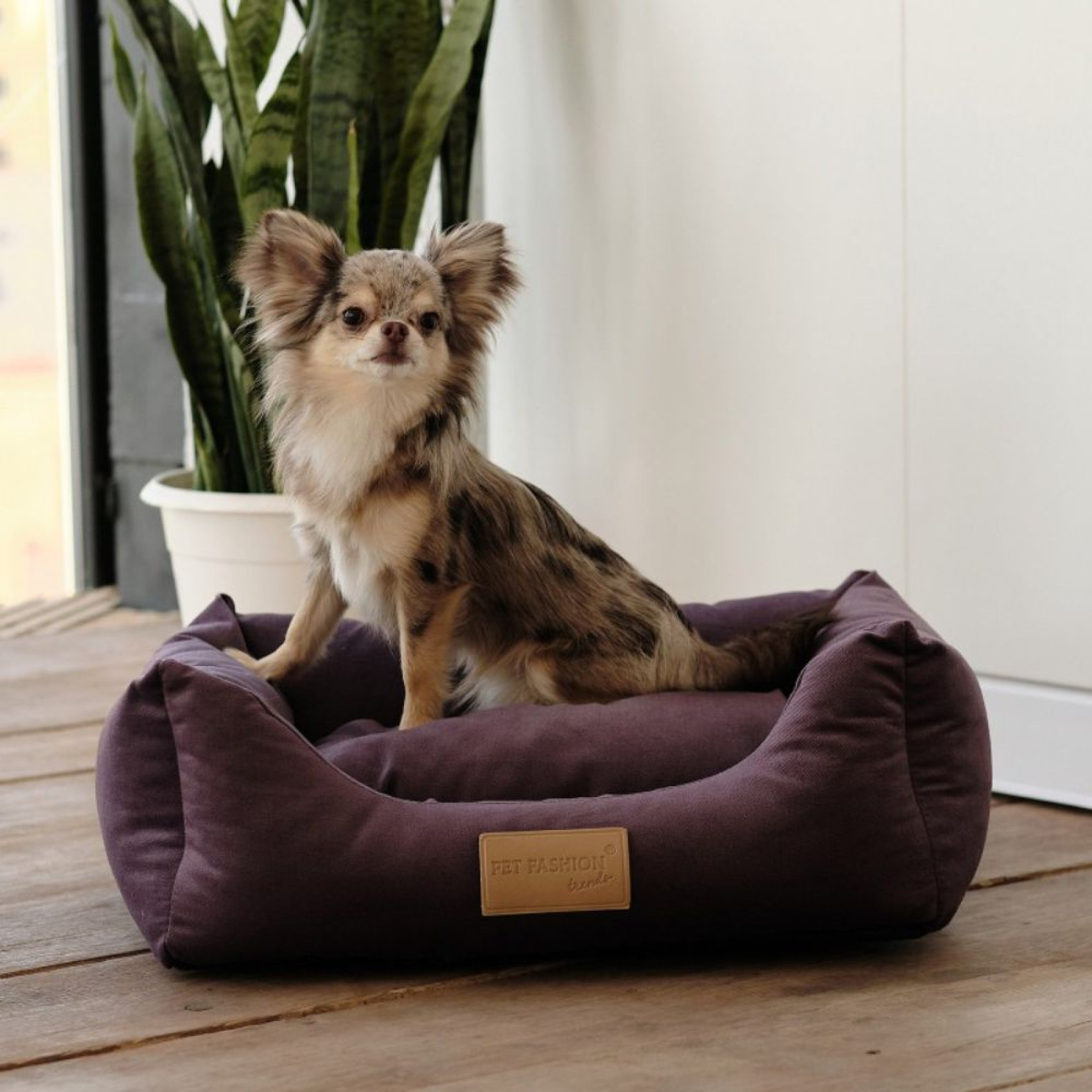 Лежак для собак Pet Fashion Molly 52х40х17 см - dgs