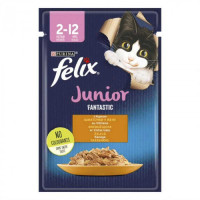 Вологий корм Felix Fantastic для кошенят, з куркою в желе 85 г*26 шт