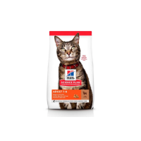 Hills Feline Adult корм для взрослых кошек с ягненком - 3 кг