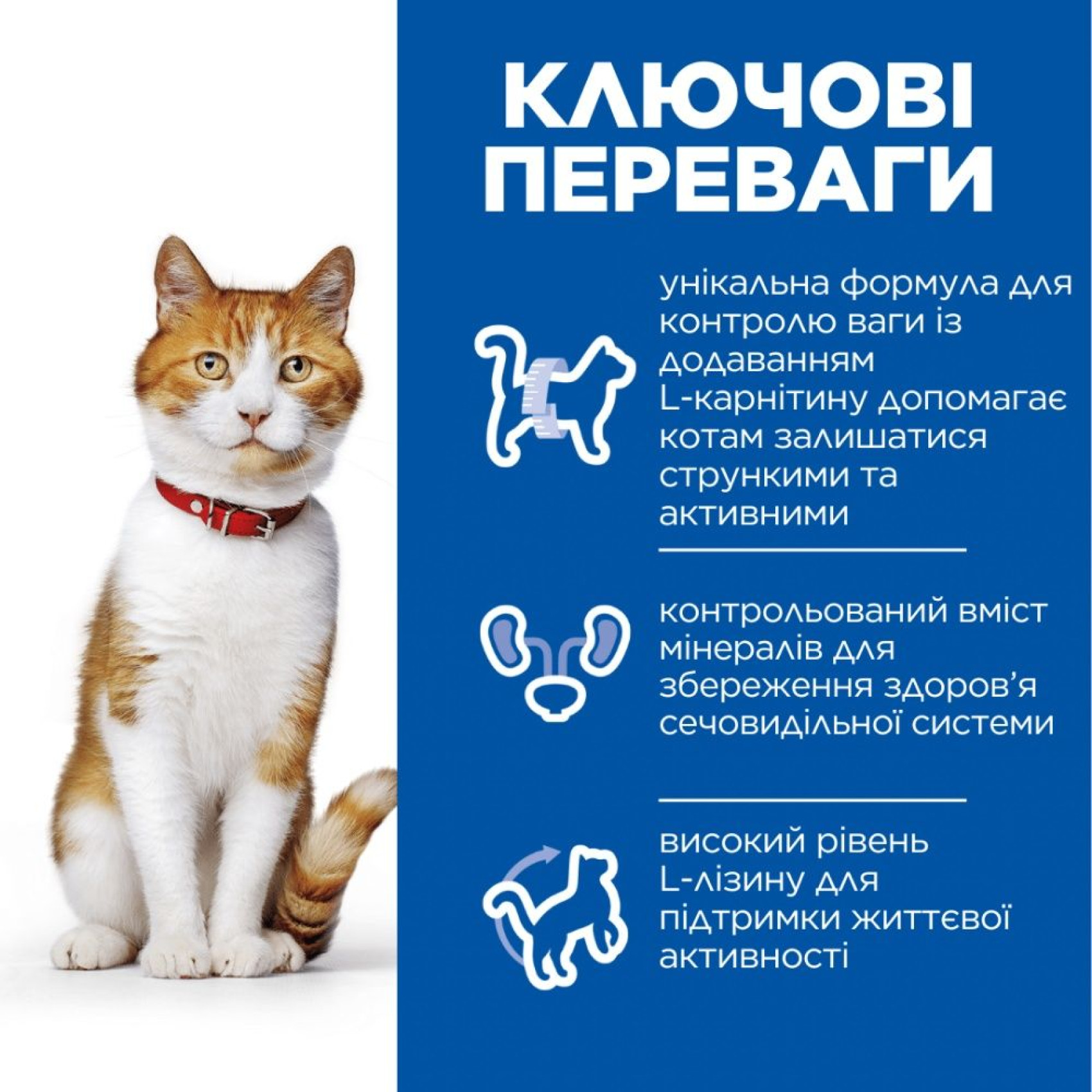 Сухой корм Hills Feline Adult Sterilised Cat Salmon для стерилизованных кошек с лососем - 1,5 кг