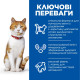 Сухой корм Hills Feline Adult Sterilised Cat Salmon для стерилизованных кошек с лососем -10 кг
