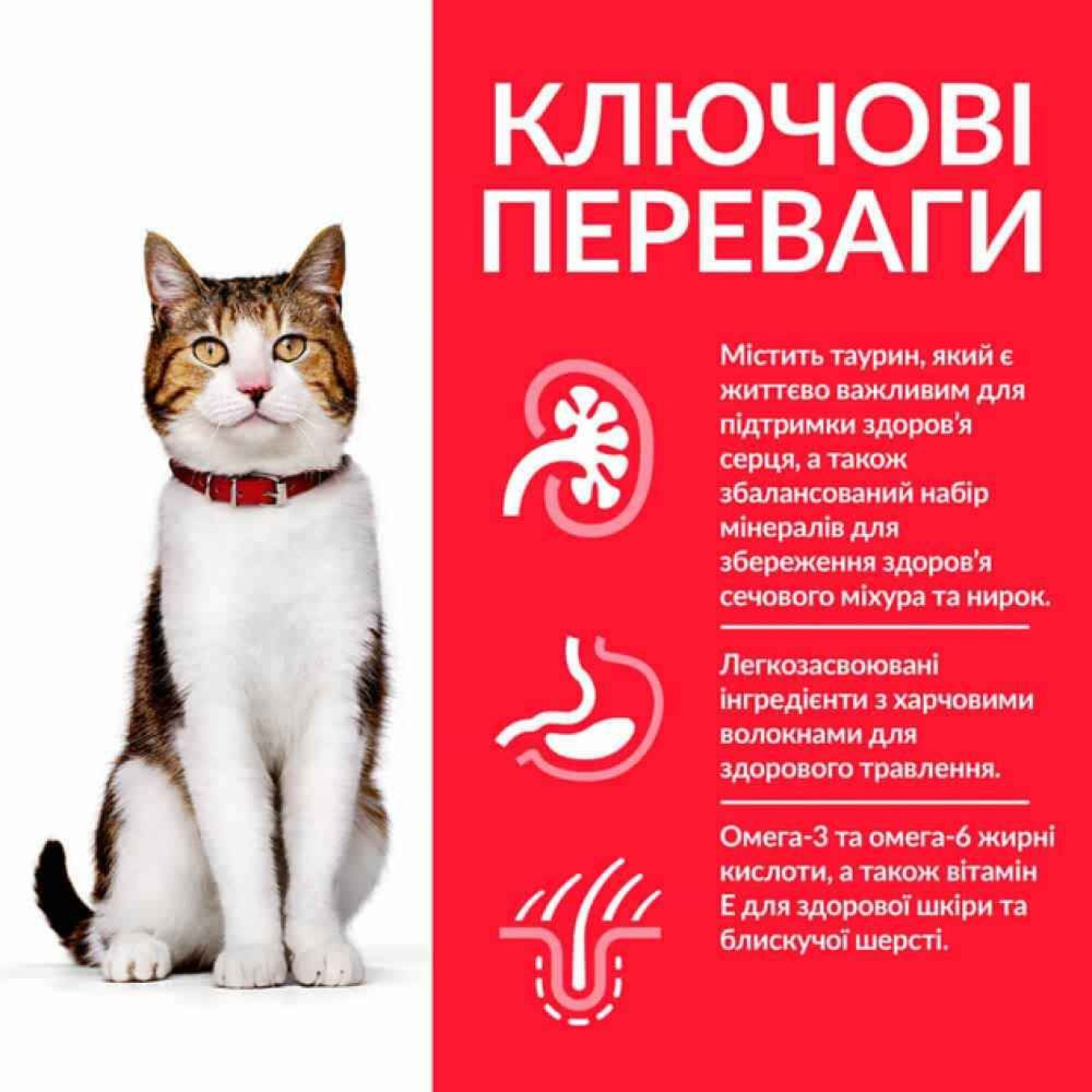 Hills Feline Mature 7+ - для пожилых кошек старше 7 лет/с курицей - 3 кг