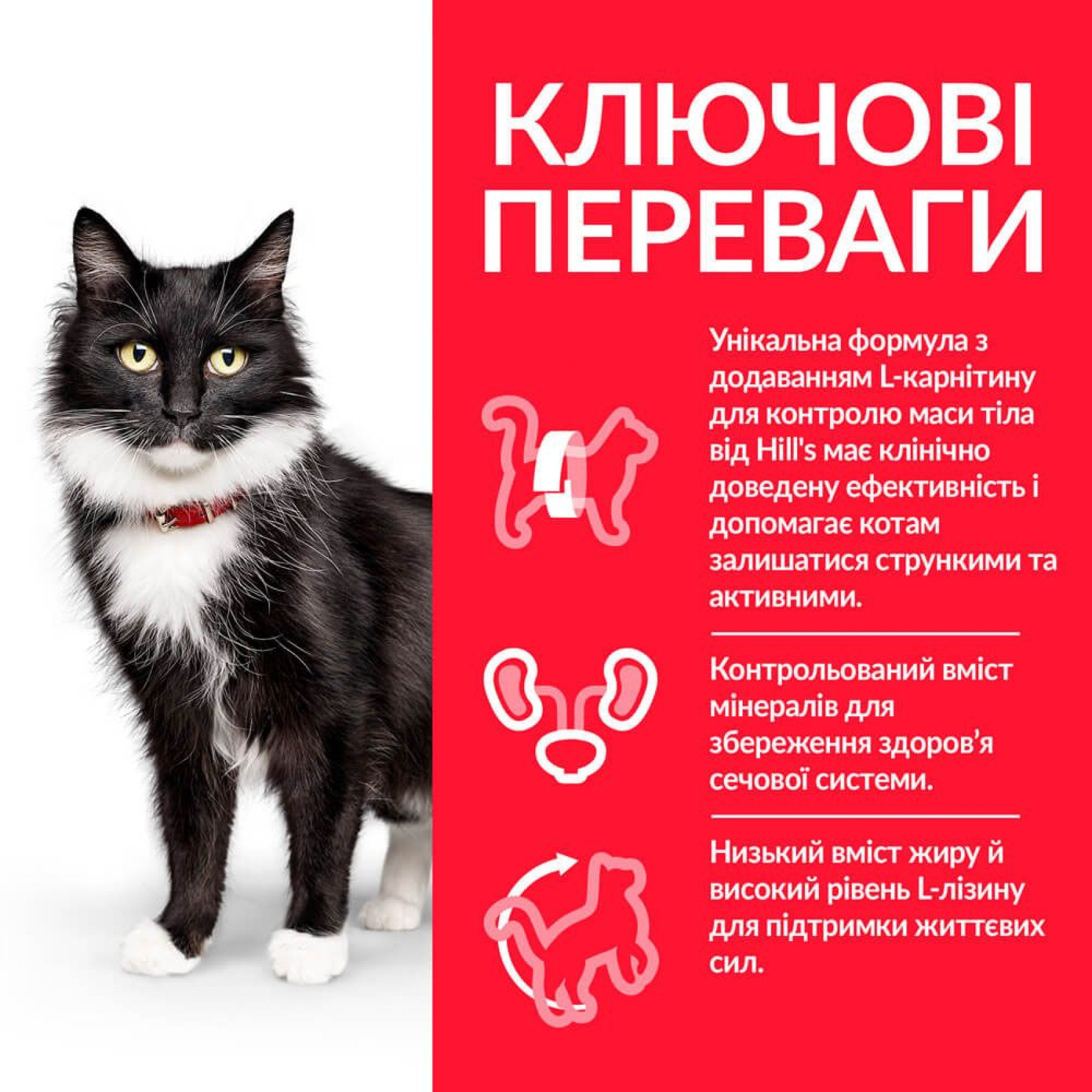 Hills Feline Mature Adult 7+ Sterilised - для пожилых стерилизованных кошек старше 7 лет - 1,5 кг