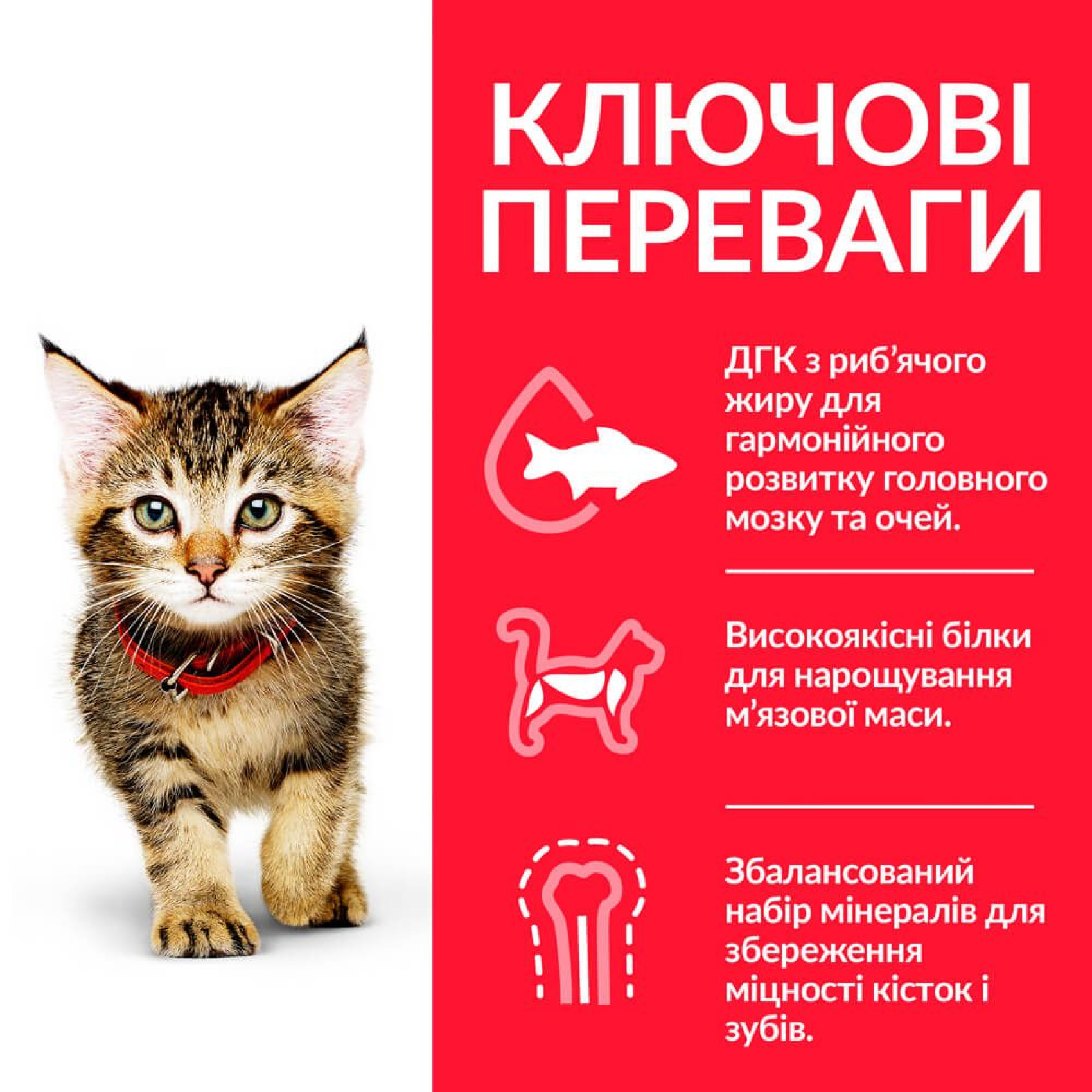 Hills SP Kitten сухой корм для котят /с курицей -7 кг