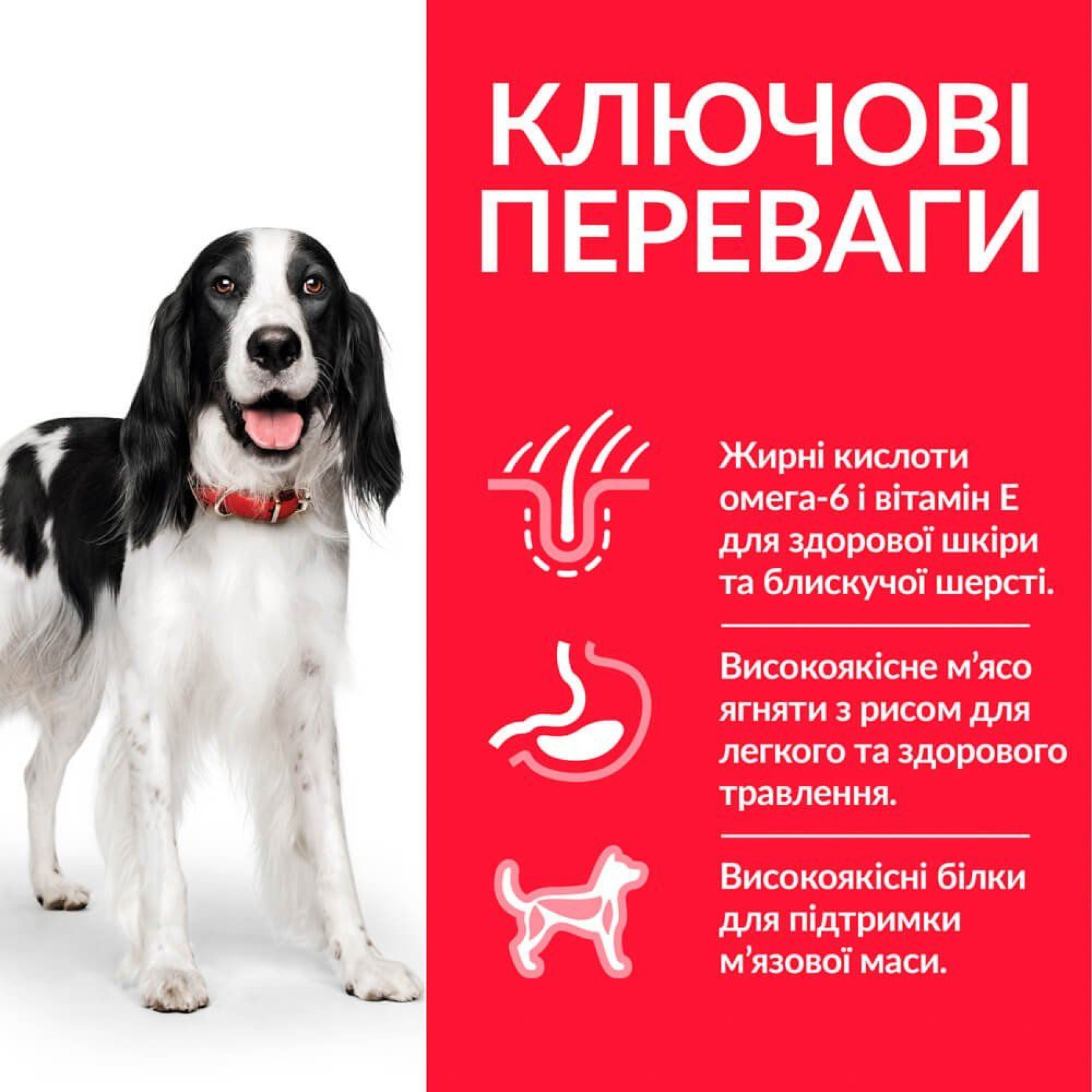 Hills Canine Adult Medium L&R - сухой корм для взрослых собак средних пород, с ягненком и рисом - 14 кг