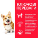 Hills SCIENCE PLAN Adult Small & Mini - сухой корм для взрослых собак мини пород с курицей -1.5 кг