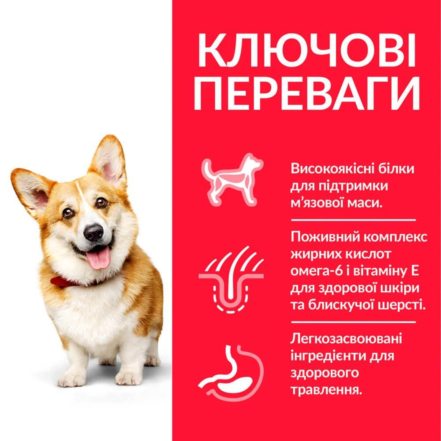 Hills SCIENCE PLAN Adult Small & Mini - сухой корм для взрослых собак мини пород с курицей - 6 кг