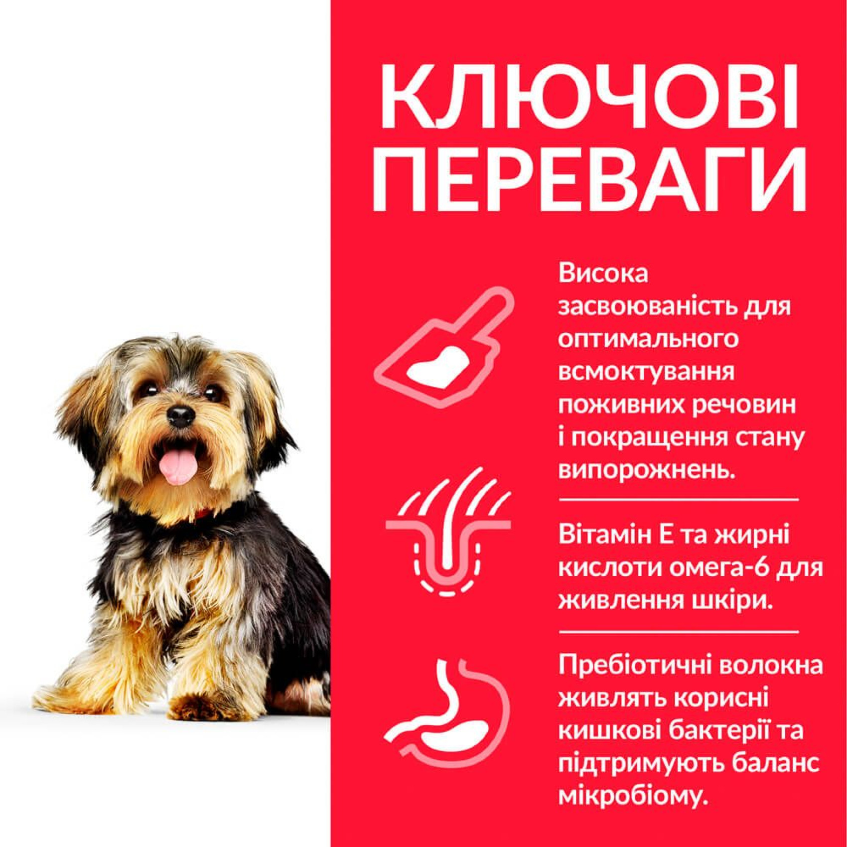 Hills SP Adult Sensitive Stomach & Skin Small & Mini Care Сухой корм с курицей для взрослых собак мелких пород с чувствительным пищеварением, 3 кг