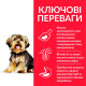 Hills SP Adult Sensitive Stomach & Skin Small & Mini Care Сухой корм с курицей для взрослых собак мелких пород с чувствительным пищеварением, 3 кг