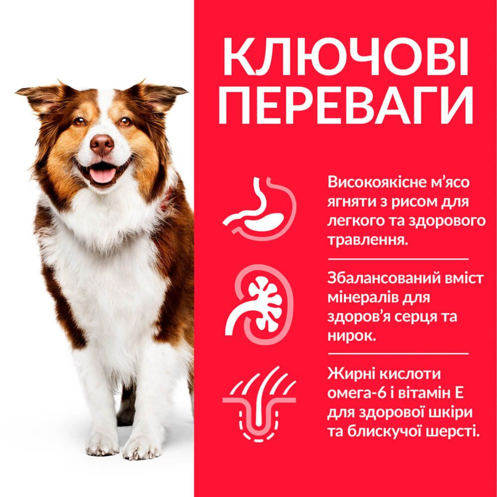 Hills SCIENCE PLAN Mature Adult 7+ Medium сухой корм для пожилых собак средних пород, с ягненком и рисом - 14 кг