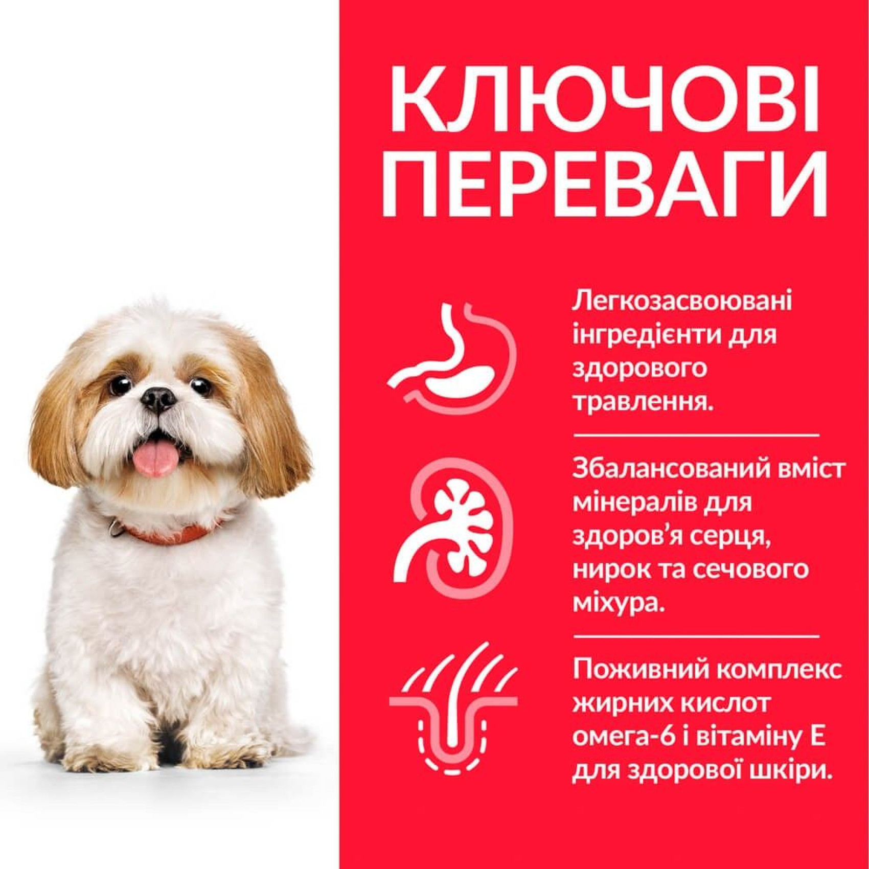 Hills SCIENCE PLAN Mature Adult 7+ Small & Mini сухой корм для пожилых собак мини пород, с курицей - 6 кг