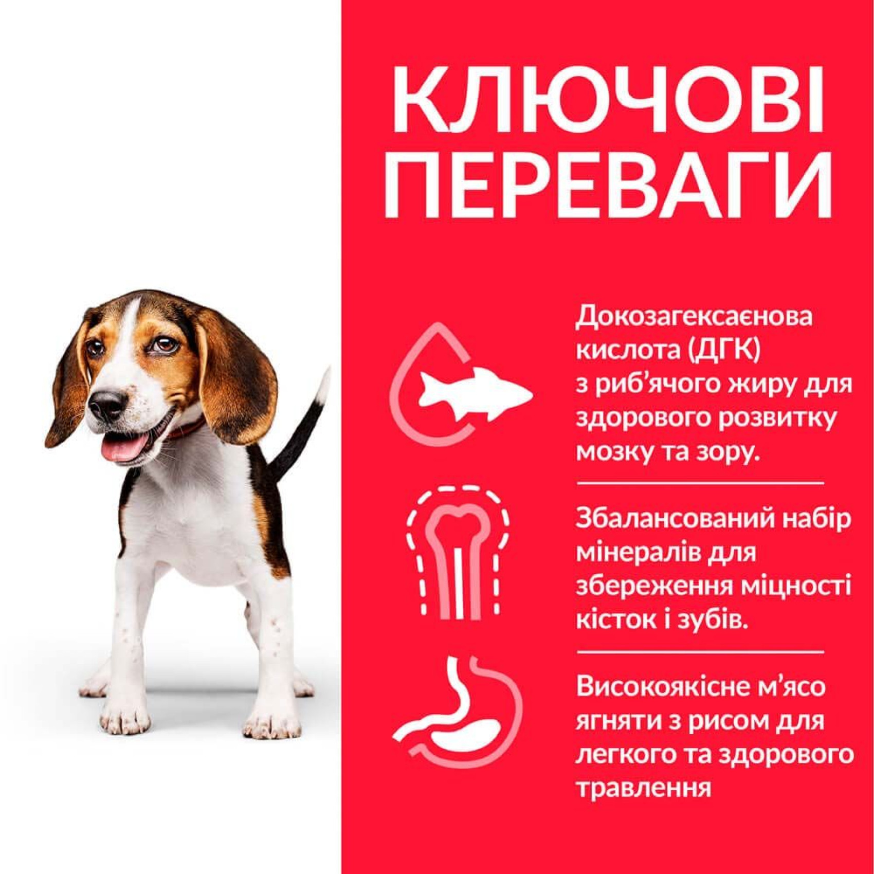 Hills SCIENCE PLAN Puppy Medium сухой корм для щенков средних пород - 14 кг курица