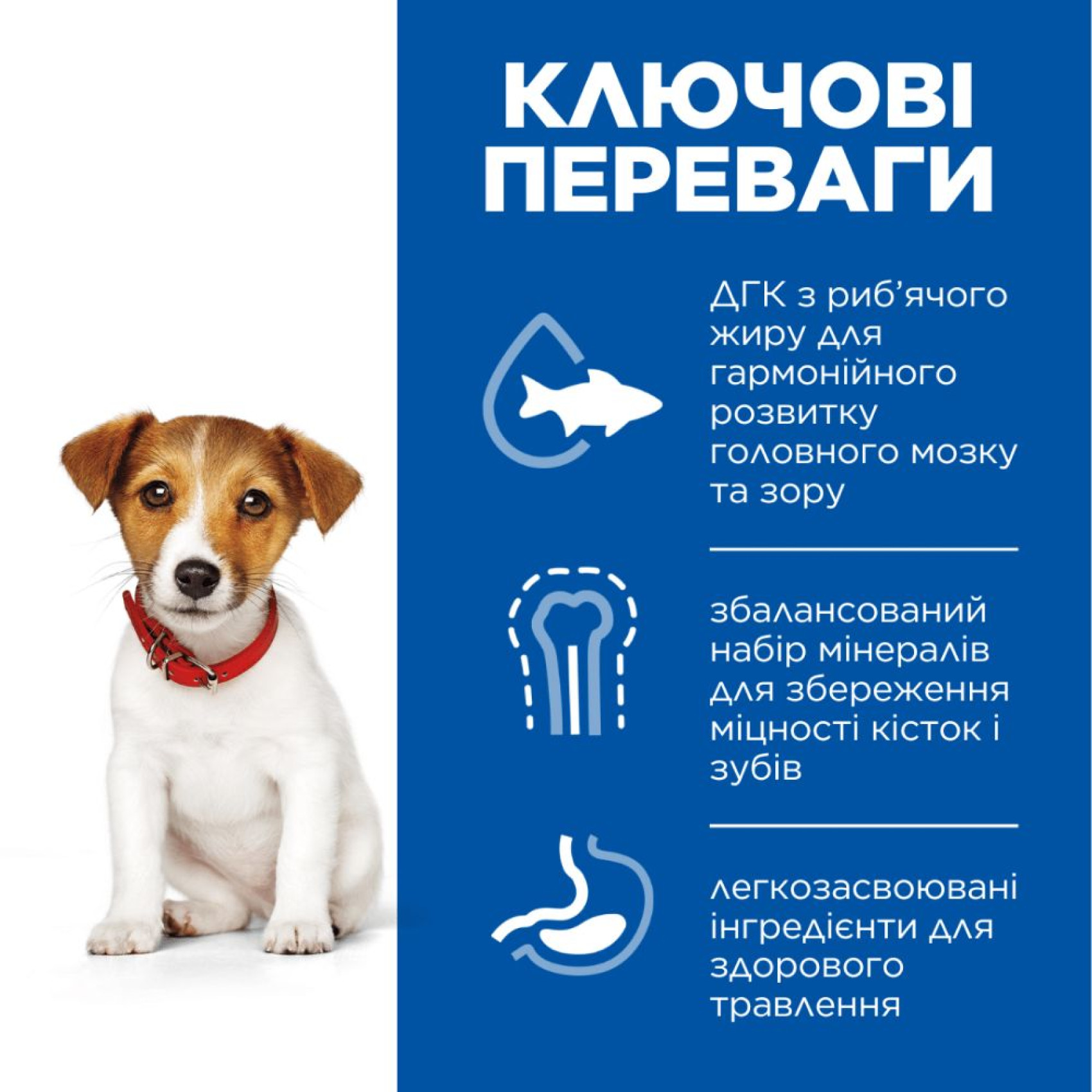 Hills SCIENCE PLAN Puppy Small & Miniature сухой корм для щенков мелких пород с курицей - 6 кг