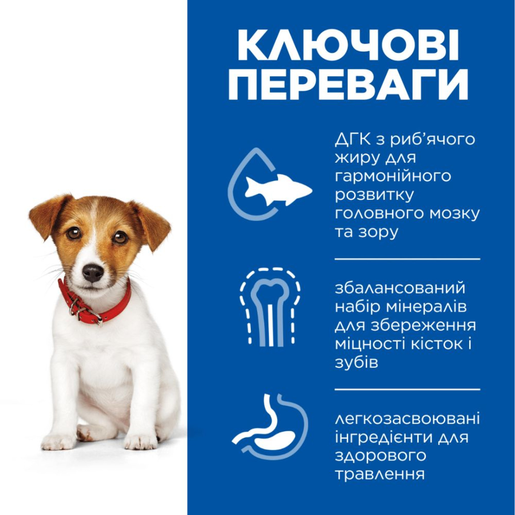 Беззерновий сухий корм для цуценят Hills SP Puppy Small&Mini, ягня з рисом, 3 кг