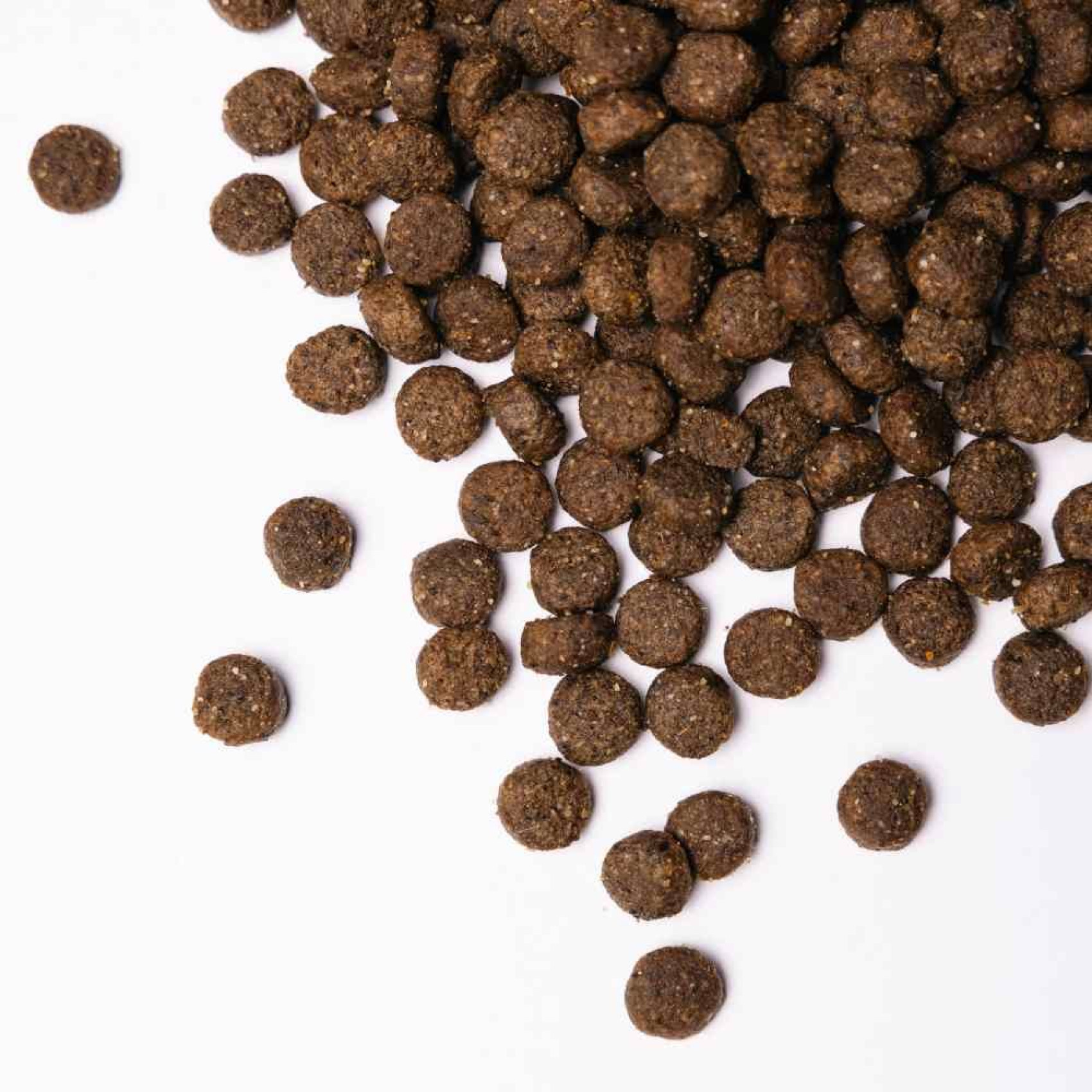 Сухий корм для собак Savory Medium Breed Fresh 1 кг - індичка та ягня