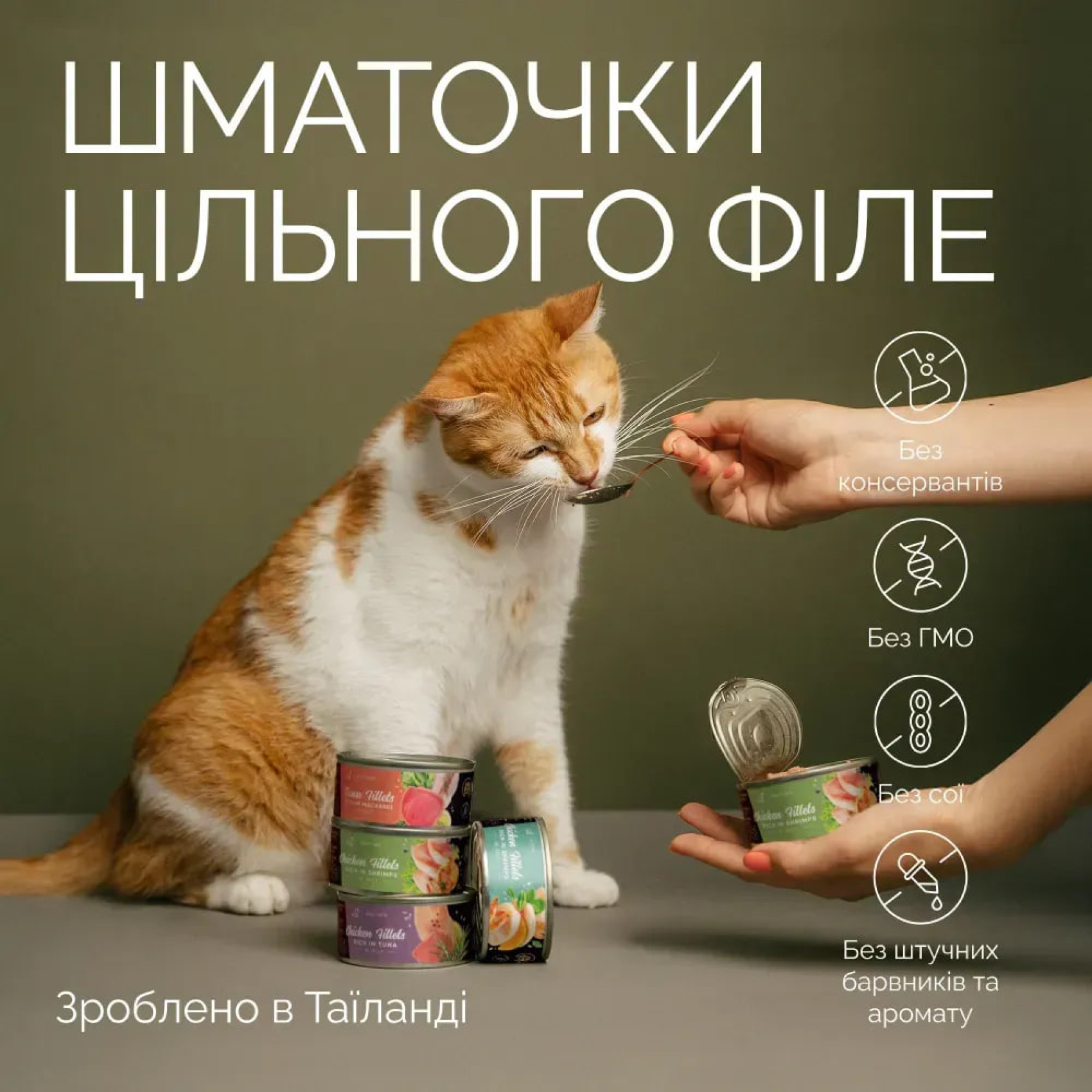 Влажный корм Savory Adult Cats для кошек 70 г - курица и тунец