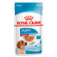 Купити Вологий корм для цуценят ROYAL CANIN MEDIUM PUPPY 0.140 кг x 10 шт