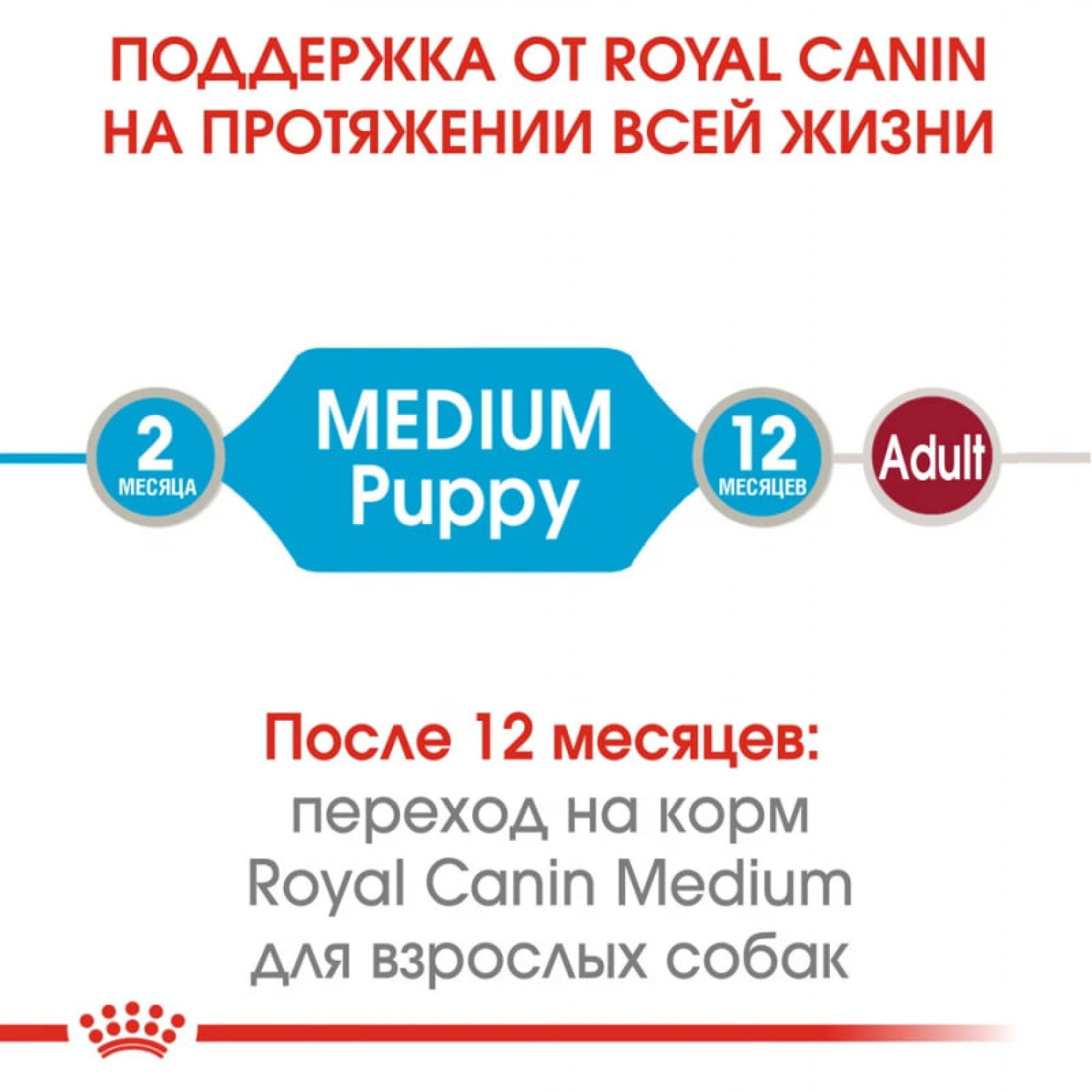 Купити Вологий корм для цуценят ROYAL CANIN MEDIUM PUPPY 0.140 кг x 10 шт