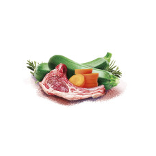 Влажный корм для собак Brit Mono Protein Christmas Duck д/собак різдвяна вечеря качка 400 г