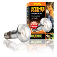 Рефлекторная лампа накаливания Exo Terra «Intense Basking Spot» 75 W, E27 (для обогрева)