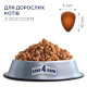 Сухий корм для котів Club 4 Paws Premium 14 кг - лосось